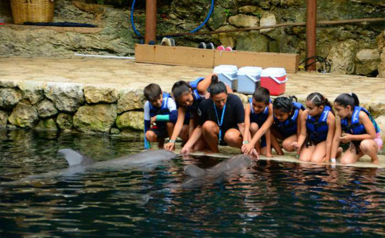 Primax 6 - Dolphin Swim Xel-Ha 