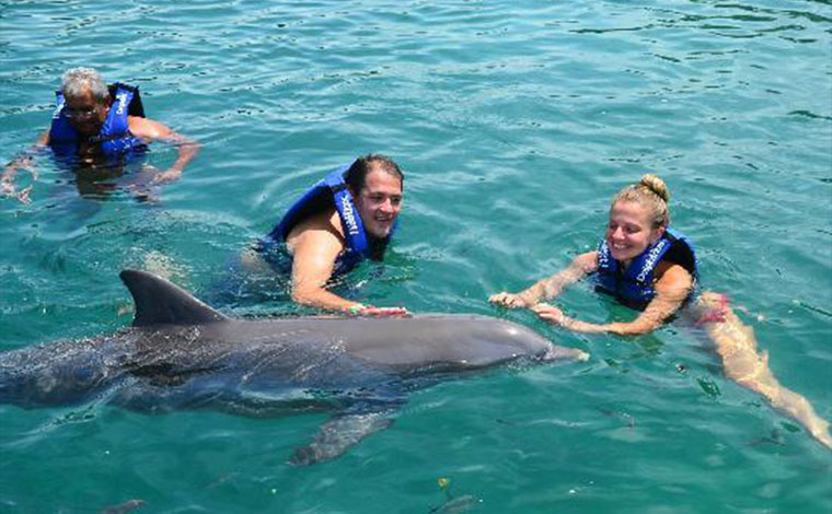 Swim with Dolphins - Cancun Interactive Aquarium