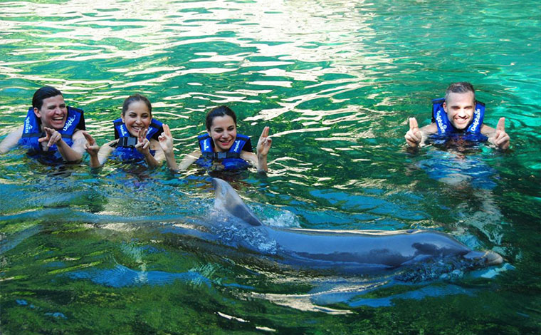 Primax - Dolphin Swim at Xcaret