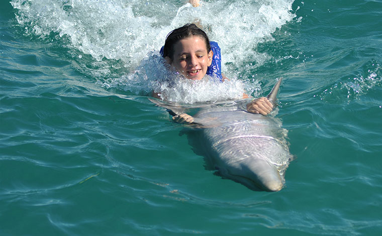 Dolphin Ride - Interactive Aquarium 