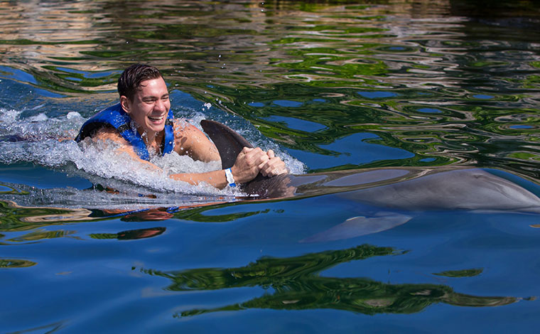 Swim with Dolphins - Playa Mujeres