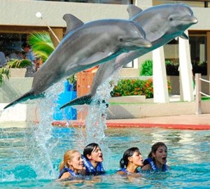 Swim with Dolphins - Cancun Interactive Aquarium
